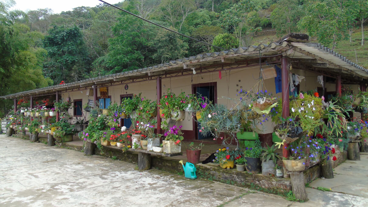 Fincas Cafeteras en la Sierra Nevada de Santa Marta.