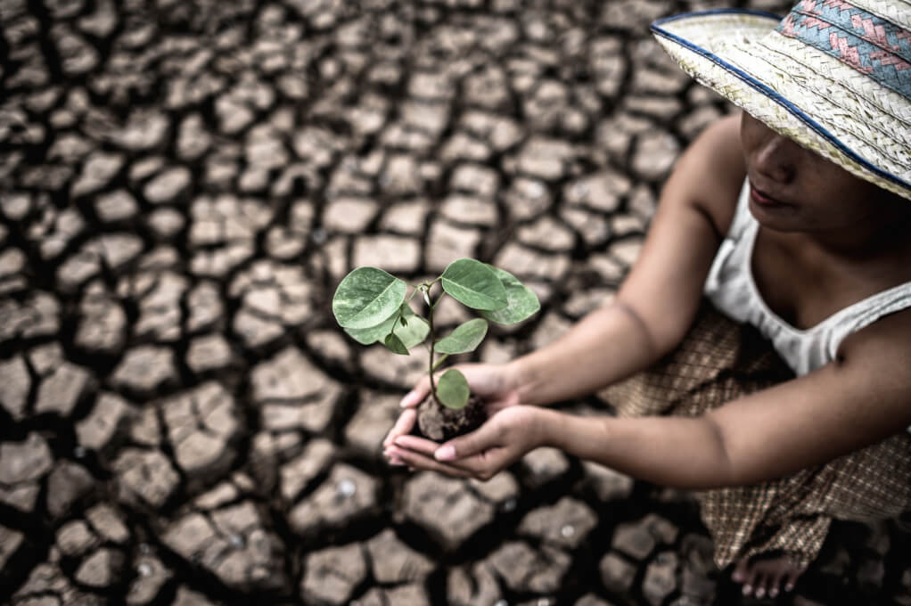 Soluciones sostenibles que restauran ecosistemas y fortalecen comunidades resilientes.