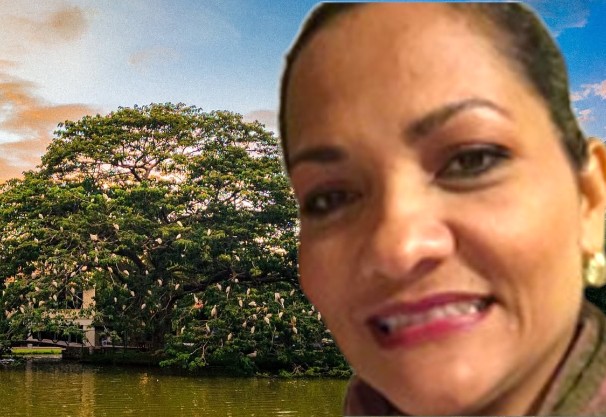 Foto de perfil de ELIS COLOMBIA CARBONELL ESCORCIA